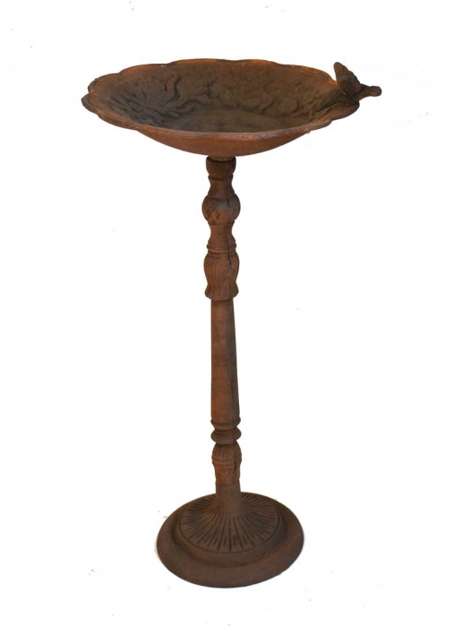 Bird bath with bird