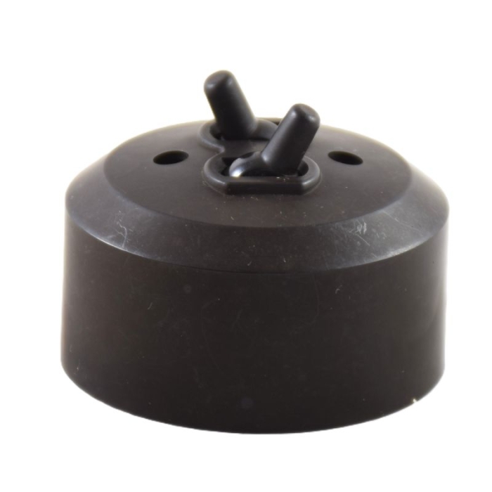 Bakelite double light switch b. e 22