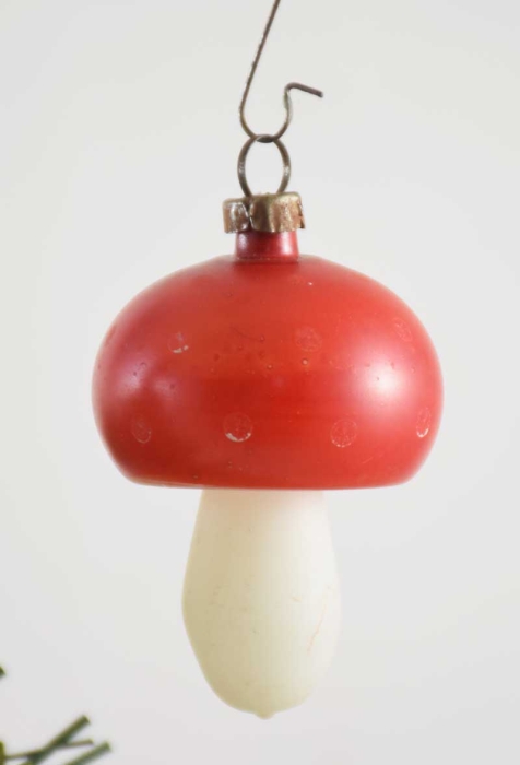 Kleine paddenstoel k. vp 35