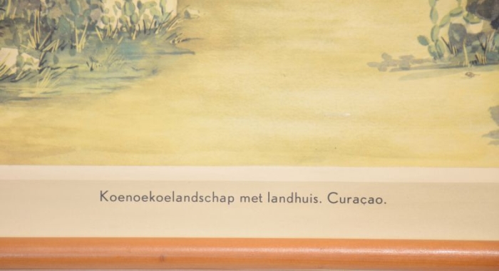 Vintage Dutch school chart Koenoekoe landschap met landhuis nr. 7
