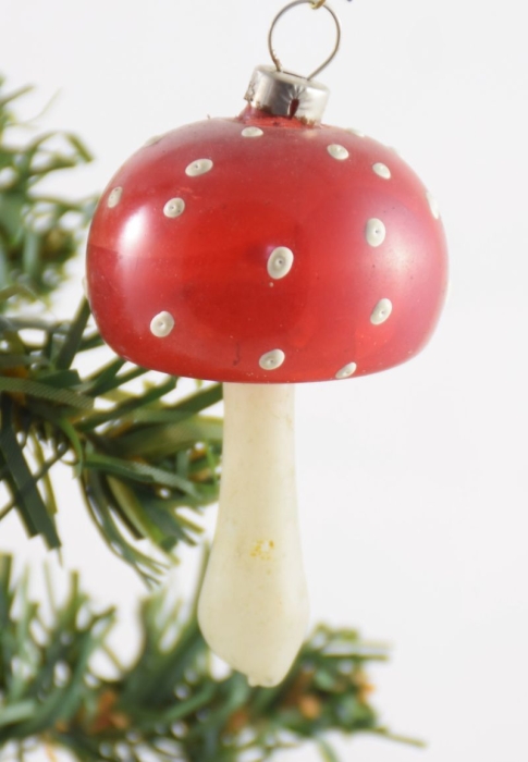 Mushroom k. vp 30