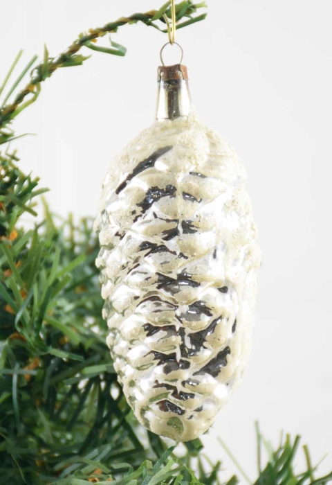 Pine cone k. vp 5
