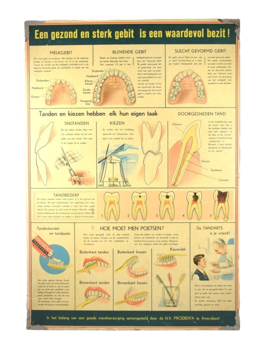 School chart dentist Een gezond en sterk gebit is een waardevol bezit School chart dentist Een gezond en sterk gebit is een waardevol bezit