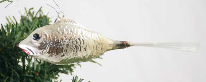 Fish k. z 8