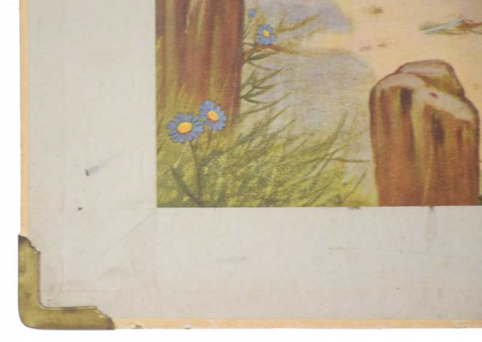 Vintage schoolplaat Zeehonden en Bruinvisschen nr. 3