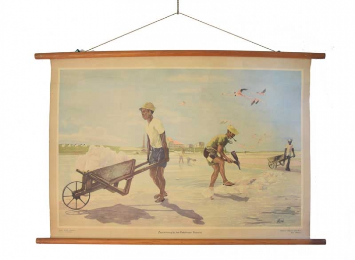 Vintage pull down school chart bij het Pekelmeer. Bonaire. nr. 6
