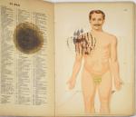 Anatomische atlas van Docter Vernon