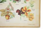 Small wall school chart bloemen