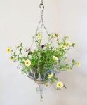 Hanging basket Bloemen hangmand groot