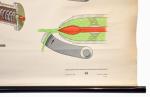 Schoolplaat Peltonturbine