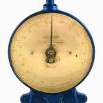 Weegschaal Salter's Family Scale