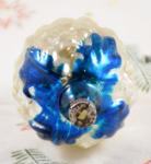 Vrucht  k. vp 9 Vrucht  k. vp 9