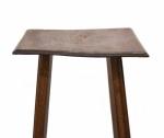 Mahonie plantentafel m. kt 4 Mahonie plantentafel m. kt 4